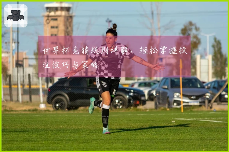 世界杯竞猜规则详解，轻松掌握投注技巧与策略